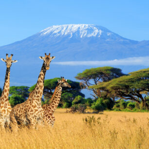 Mount Kilimanjaro
