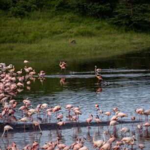 Arusha National Park