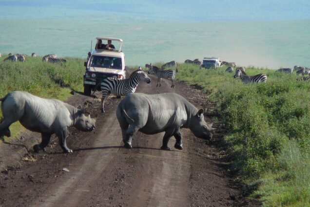 7 Days Tanzania Safari: Tarangire, Serengeti, Ngorongoro & Lake Manyara
