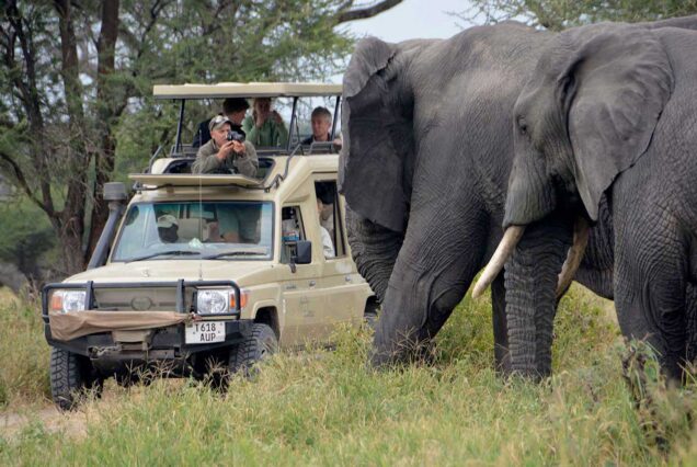 6 Days Tanzania Safari: Tarangire, Serengeti & Ngorongoro Crater