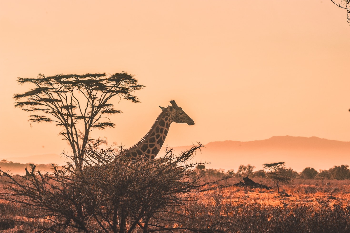 Top Five Reasons To Visit The Ngorongoro Crater