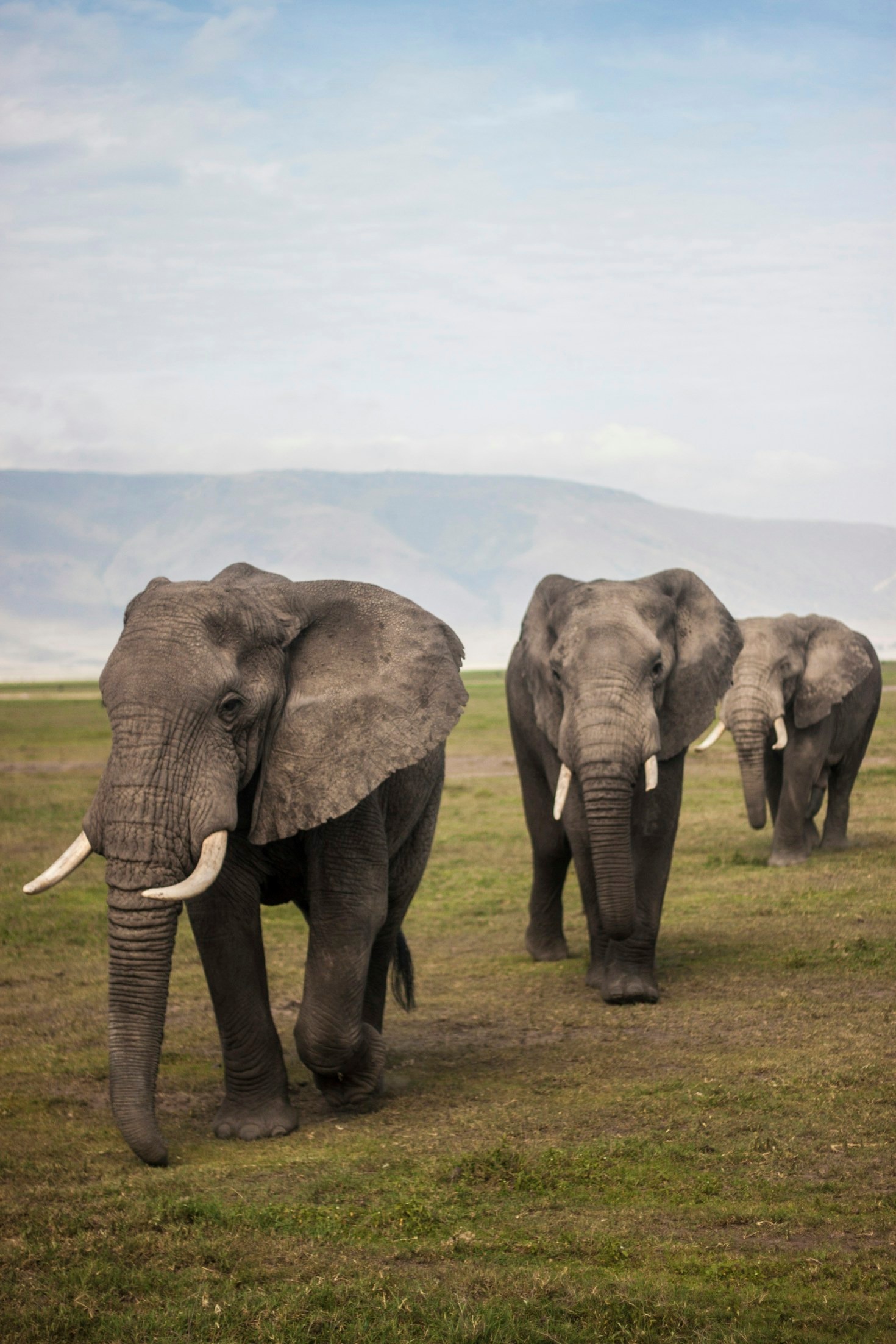 Why Karatu Is The Perfect Safari Base Camp