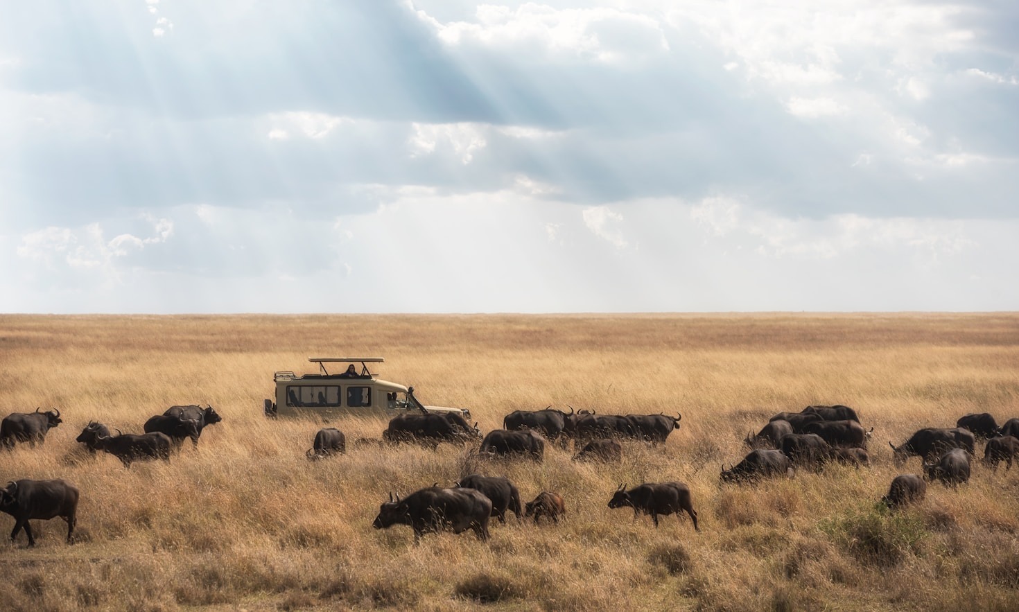 Hidden Gems Within The Northern Safari Circuit Trails